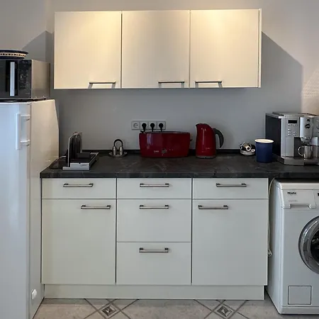 Schwalbenflug 1 Berlín