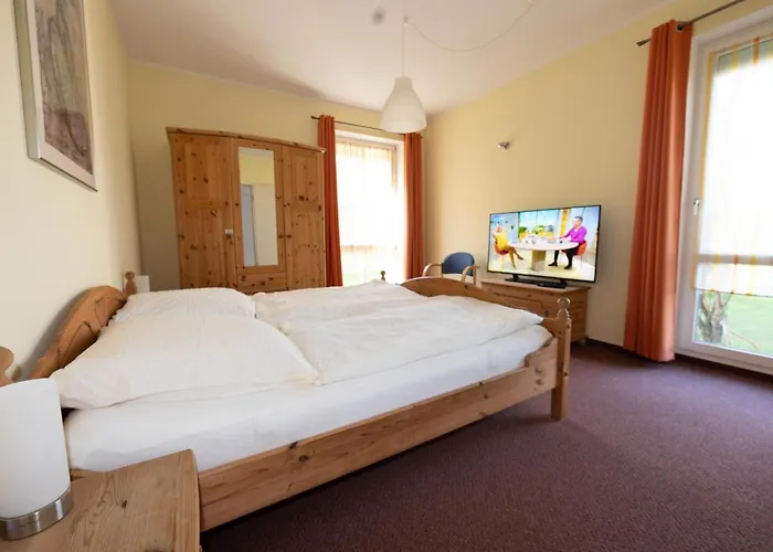 Schwalbenflug 1 Berlin