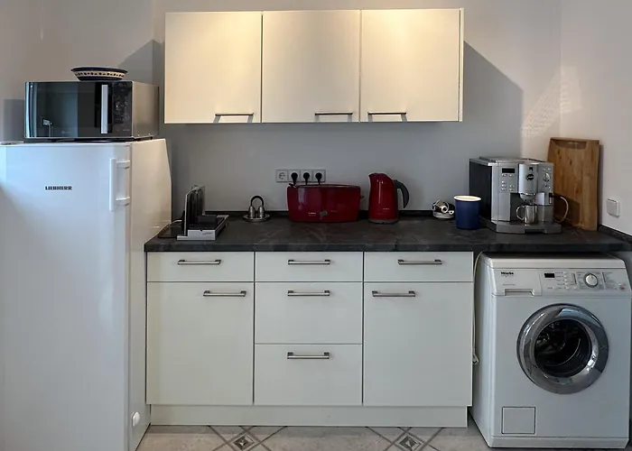 Schwalbenflug 1 Βερολίνο